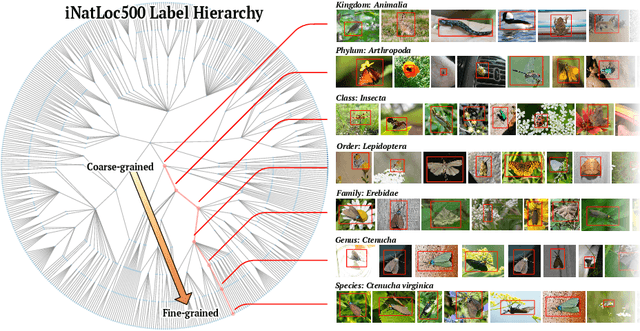 Figure 3 for On Label Granularity and Object Localization