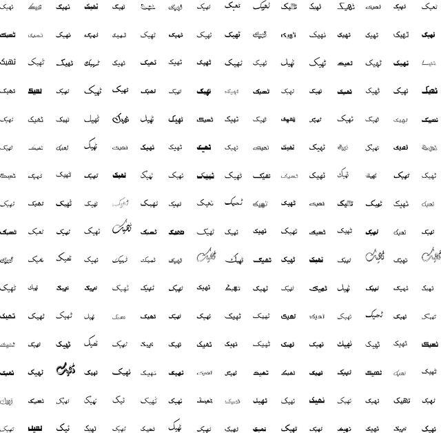 Figure 1 for Large Scale Font Independent Urdu Text Recognition System