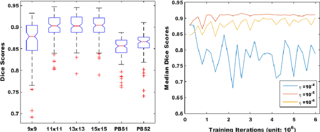 Figure 3 for Near Real-time Hippocampus Segmentation Using Patch-based Canonical Neural Network