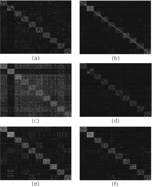 Figure 4 for $\ell_0$-Motivated Low-Rank Sparse Subspace Clustering