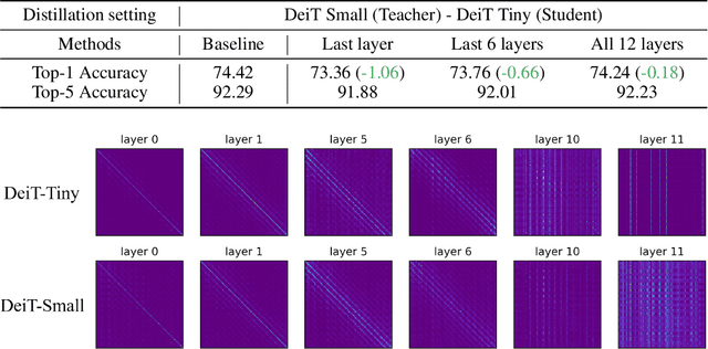 Figure 1 for ViTKD: Practical Guidelines for ViT feature knowledge distillation