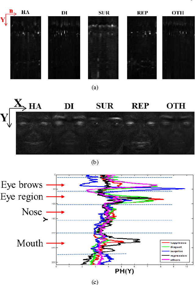 Figure 3 for Spontaneous Facial Micro-Expression Recognition using Discriminative Spatiotemporal Local Binary Pattern with an Improved Integral Projection