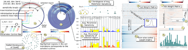 Figure 3 for NNVA: Neural Network Assisted Visual Analysis of Yeast Cell Polarization Simulation