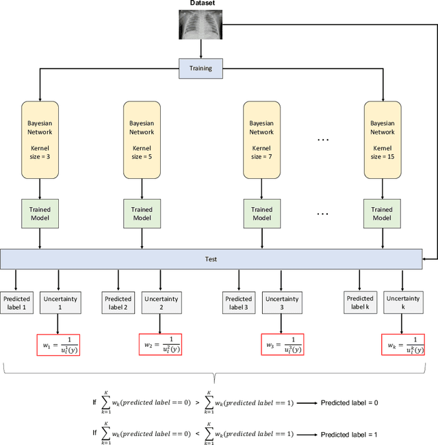 Figure 4 for Uncertainty-driven ensembles of deep architectures for multiclass classification. Application to COVID-19 diagnosis in chest X-ray images