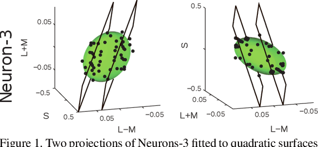 Figure 1 for Colour Terms: a Categorisation Model Inspired by Visual Cortex Neurons