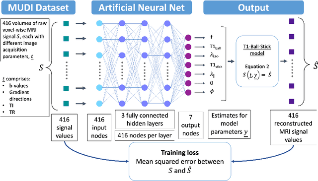 Figure 3 for Fitting a Directional Microstructure Model to Diffusion-Relaxation MRI Data with Self-Supervised Machine Learning