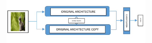 Figure 4 for Incorporating Image Gradients as Secondary Input Associated with Input Image to Improve the Performance of the CNN Model