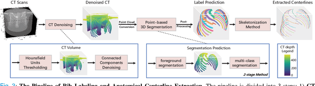 Figure 3 for RibSeg v2: A Large-scale Benchmark for Rib Labeling and Anatomical Centerline Extraction