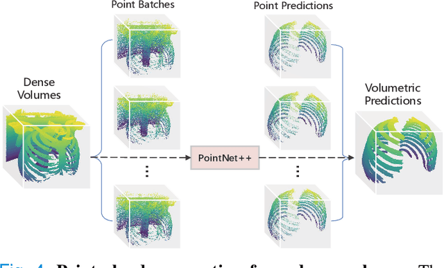 Figure 4 for RibSeg v2: A Large-scale Benchmark for Rib Labeling and Anatomical Centerline Extraction