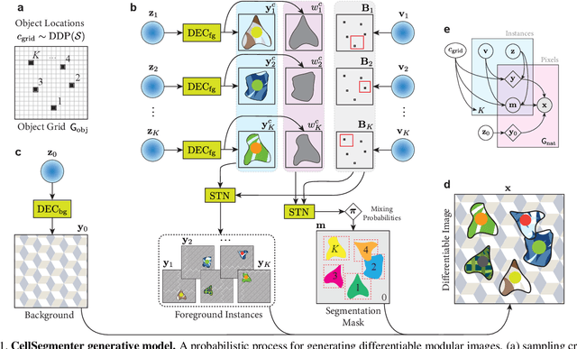 Figure 1 for CellSegmenter: unsupervised representation learning and instance segmentation of modular images