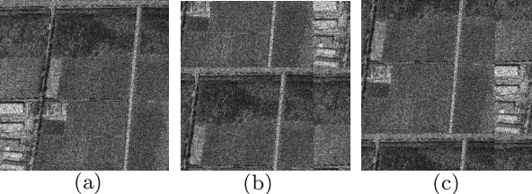 Figure 3 for SAR Despeckling using a Denoising Diffusion Probabilistic Model