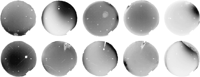 Figure 1 for Rethinking Fully Convolutional Networks for the Analysis of Photoluminescence Wafer Images