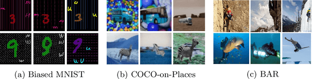 Figure 3 for OccamNets: Mitigating Dataset Bias by Favoring Simpler Hypotheses