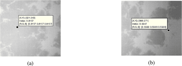 Figure 3 for A method for Cloud Mapping in the Field of View of the Infra-Red Camera during the EUSO-SPB1 flight