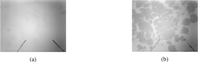 Figure 4 for A method for Cloud Mapping in the Field of View of the Infra-Red Camera during the EUSO-SPB1 flight