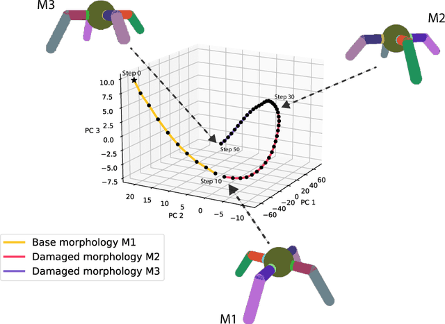 Figure 4 for HyperNCA: Growing Developmental Networks with Neural Cellular Automata