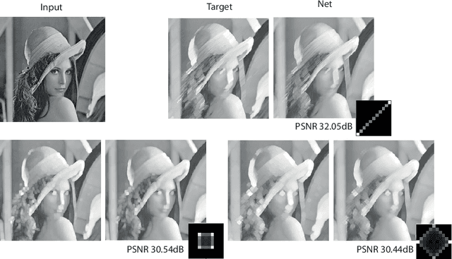 Figure 2 for A Learning Framework for Morphological Operators using Counter-Harmonic Mean