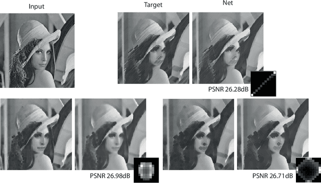 Figure 3 for A Learning Framework for Morphological Operators using Counter-Harmonic Mean