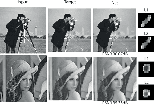 Figure 4 for A Learning Framework for Morphological Operators using Counter-Harmonic Mean