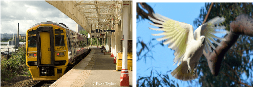 Figure 2 for Representations of language in a model of visually grounded speech signal