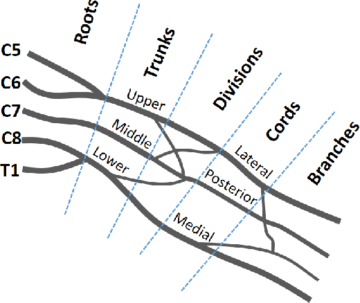 Figure 2 for SpinalNet: Deep Neural Network with Gradual Input
