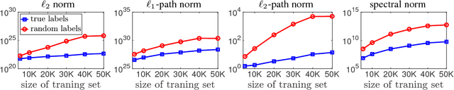 Figure 1 for Exploring Generalization in Deep Learning