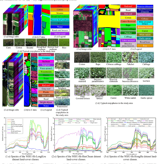 Figure 2 for WHU-Hi: UAV-borne hyperspectral with high spatial resolution benchmark datasets for hyperspectral image classification
