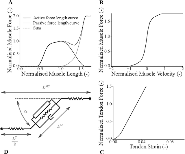 Figure 2 for Neuromechanical model-based control of bi-lateral ankle exoskeletons: biological joint torque and electromyogram reduction across walking conditions