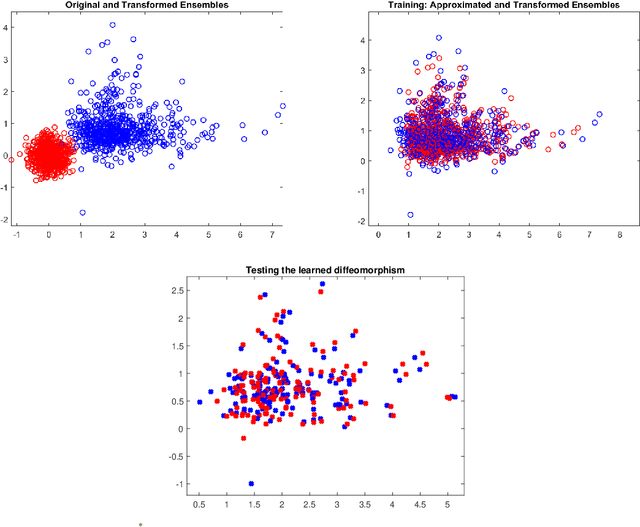 Figure 1 for Deep Learning Approximation of Diffeomorphisms via Linear-Control Systems