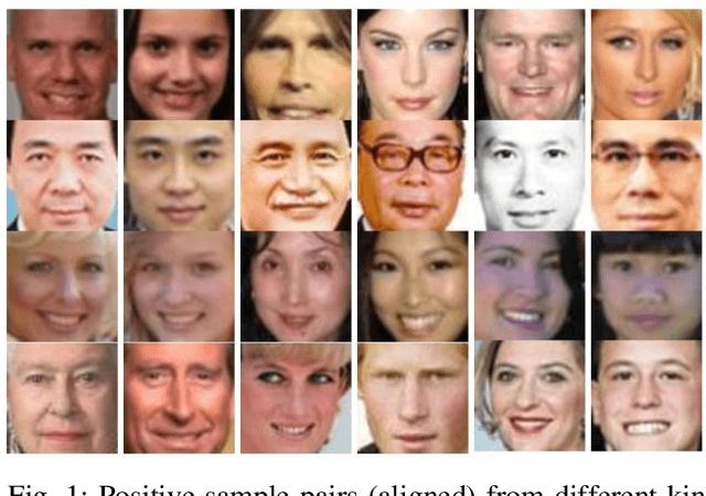 Figure 1 for Kinship Verification Based on Cross-Generation Feature Interaction Learning