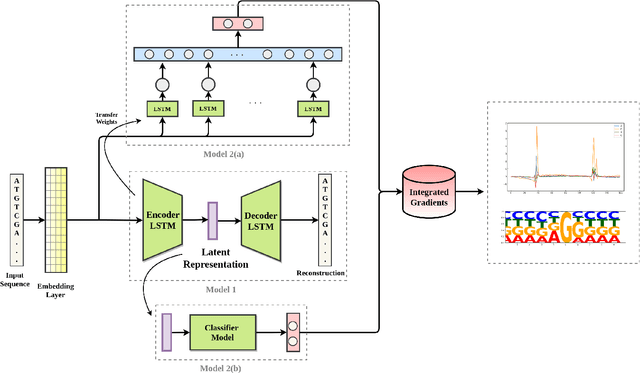 Figure 1 for Unsupervised Representation Learning of DNA Sequences