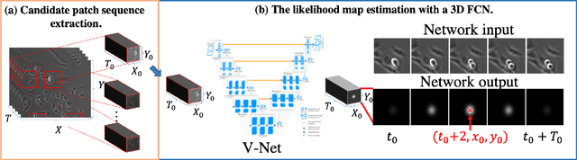 Figure 2 for Spatial-Temporal Mitosis Detection in Phase-Contrast Microscopy via Likelihood Map Estimation by 3DCNN