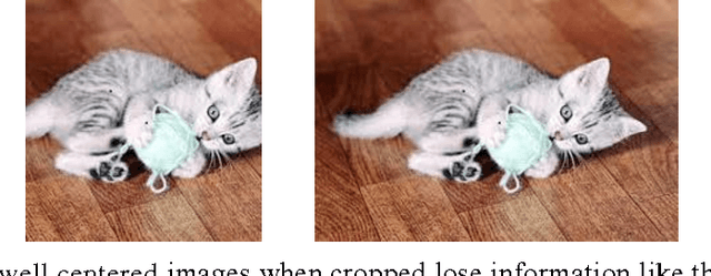 Figure 1 for Some Improvements on Deep Convolutional Neural Network Based Image Classification