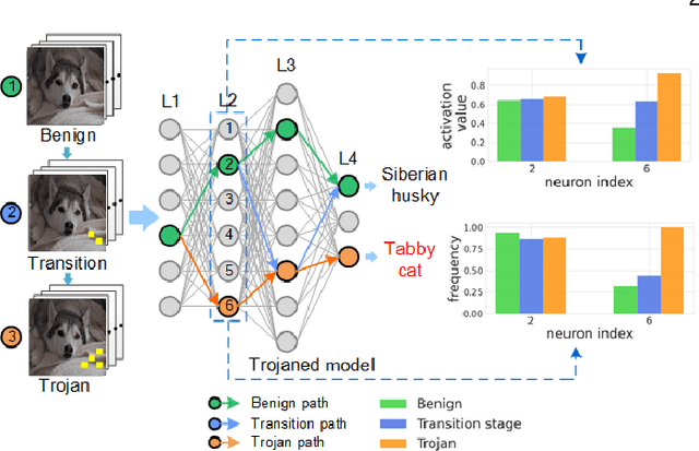 Figure 3 for CatchBackdoor: Backdoor Testing by Critical Trojan Neural Path Identification via Differential Fuzzing