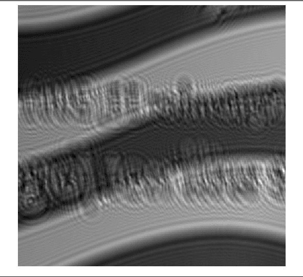Figure 4 for Convolutional neural network-based regression for depth prediction in digital holography