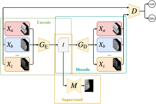Figure 1 for Conditional Domain Adaptation GANs for Biomedical Image Segmentation