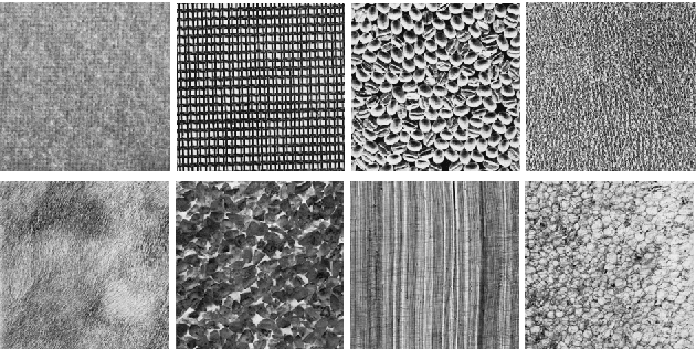 Figure 1 for Combined statistical and model based texture features for improved image classification