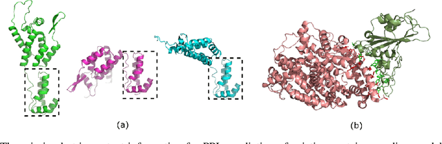 Figure 1 for Multimodal Pre-Training Model for Sequence-based Prediction of Protein-Protein Interaction