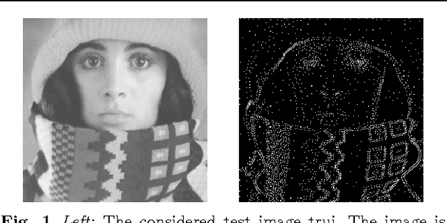 Figure 1 for Clustering-Based Quantisation for PDE-Based Image Compression