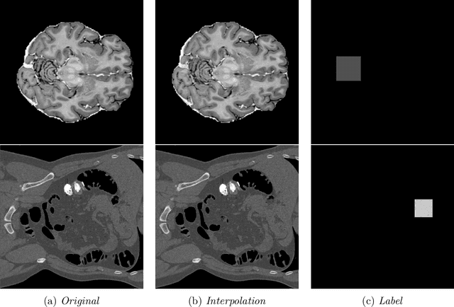 Figure 1 for Detecting Outliers with Foreign Patch Interpolation