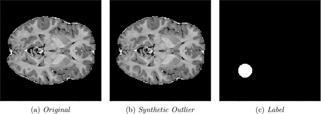 Figure 3 for Detecting Outliers with Foreign Patch Interpolation
