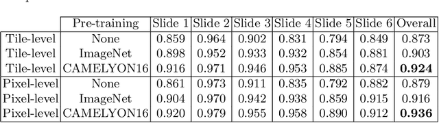 Figure 2 for Improving Prostate Cancer Detection with Breast Histopathology Images