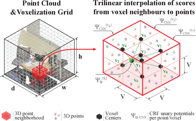 Figure 3 for SEGCloud: Semantic Segmentation of 3D Point Clouds