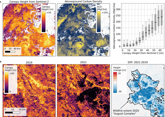 Figure 4 for A high-resolution canopy height model of the Earth
