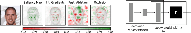 Figure 1 for Human-interpretable model explainability on high-dimensional data