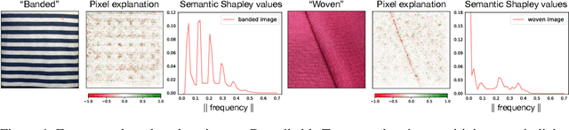 Figure 3 for Human-interpretable model explainability on high-dimensional data