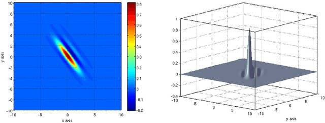Figure 1 for A Sinc Wavelet Describes the Receptive Fields of Neurons in the Motion Cortex
