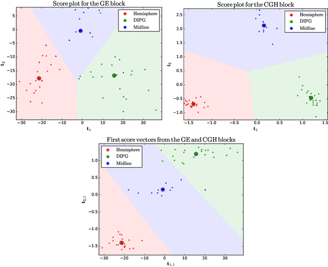 Figure 4 for A general multiblock method for structured variable selection