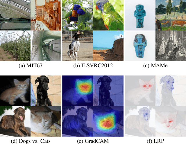 Figure 1 for Who Explains the Explanation? Quantitatively Assessing Feature Attribution Methods