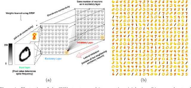 Figure 1 for Lattice Map Spiking Neural Networks (LM-SNNs) for Clustering and Classifying Image Data